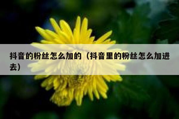 抖音的粉丝怎么加的（抖音里的粉丝怎么加进去） 第1张