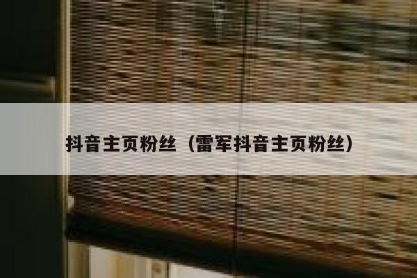 抖音主页粉丝（雷军抖音主页粉丝） 第1张