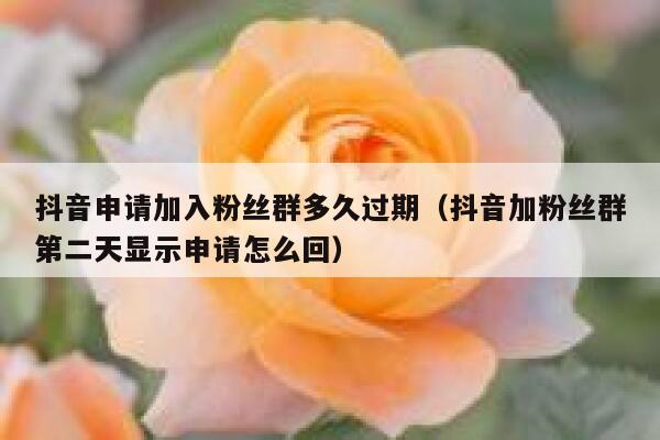 抖音申请加入粉丝群多久过期（抖音加粉丝群第二天显示申请怎么回） 第1张