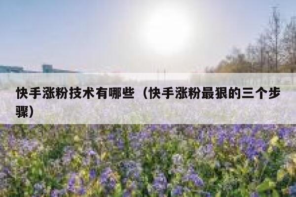 快手涨粉技术有哪些（快手涨粉最狠的三个步骤） 第1张