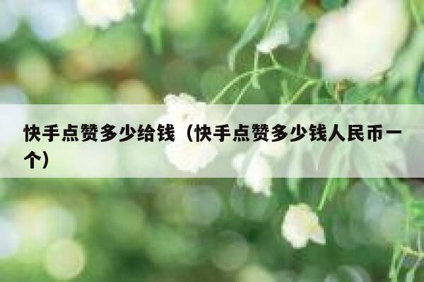 快手点赞多少给钱（快手点赞多少钱人民币一个） 第1张