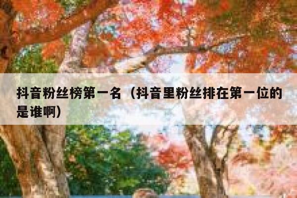 抖音粉丝榜第一名（抖音里粉丝排在第一位的是谁啊） 第1张