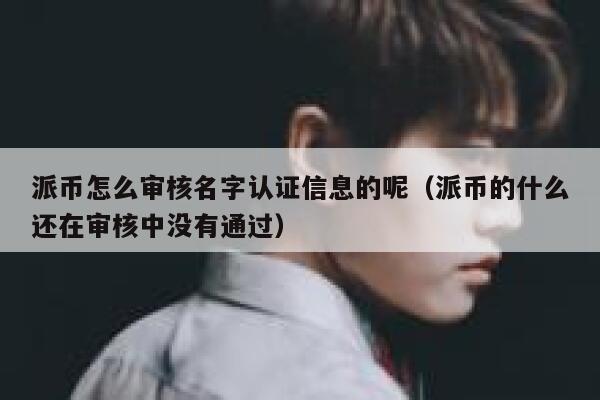 派币怎么审核名字认证信息的呢（派币的什么还在审核中没有通过） 第1张