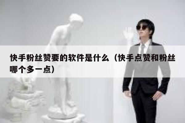 快手粉丝赞要的软件是什么（快手点赞和粉丝哪个多一点） 第1张