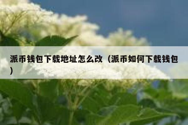派币钱包下载地址怎么改（派币如何下载钱包） 第1张
