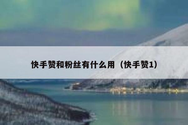 快手赞和粉丝有什么用（快手赞1） 第1张