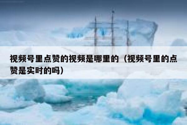 视频号里点赞的视频是哪里的（视频号里的点赞是实时的吗） 第1张