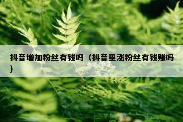 抖音增加粉丝有钱吗（抖音里涨粉丝有钱赚吗） 第1张