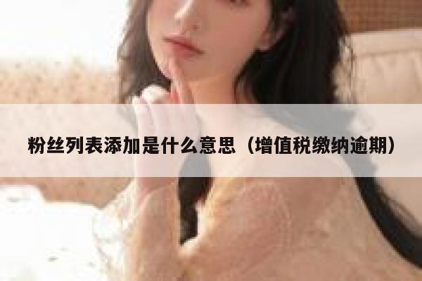 粉丝列表添加是什么意思(增值税缴纳逾期) 第1张 粉丝列表添加是什么意思(增值税缴纳逾期) 第1张