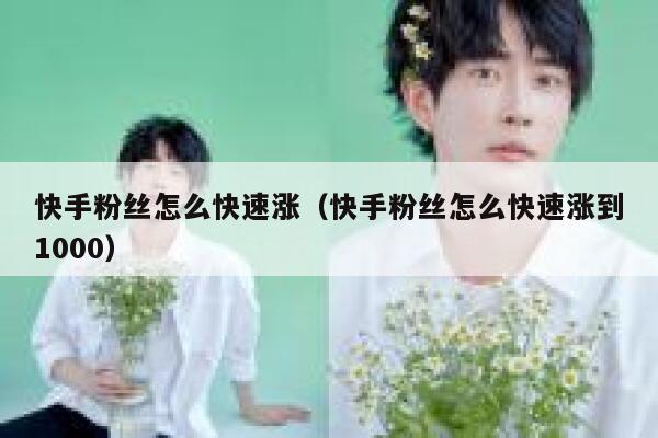 快手粉丝怎么快速涨(快手粉丝怎么快速涨到1000) 第1张 快手粉丝怎么快速涨(快手粉丝怎么快速涨到1000) 第1张