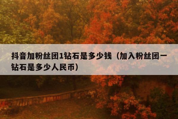 抖音加粉丝团1钻石是多少钱（加入粉丝团一钻石是多少人民币） 第1张