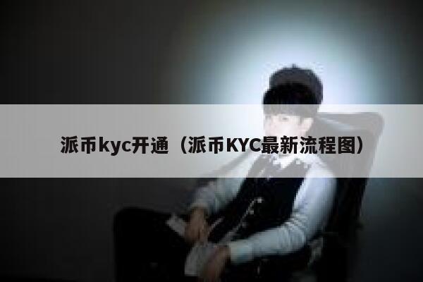 派币kyc开通（派币KYC最新流程图） 第1张