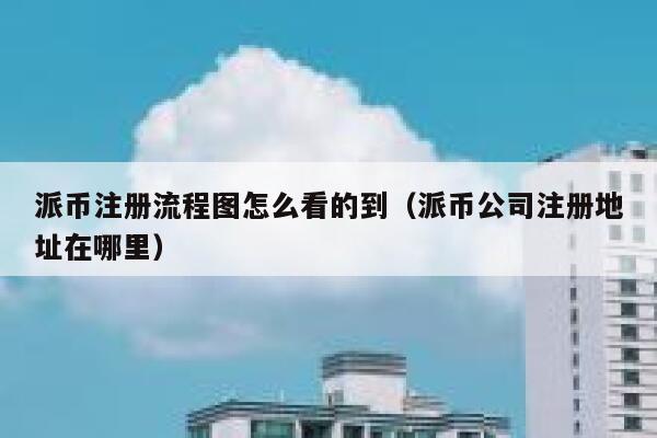 派币注册流程图怎么看的到（派币公司注册地址在哪里） 第1张