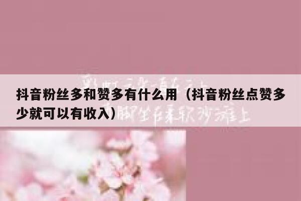 抖音粉丝多和赞多有什么用（抖音粉丝点赞多少就可以有收入） 第1张