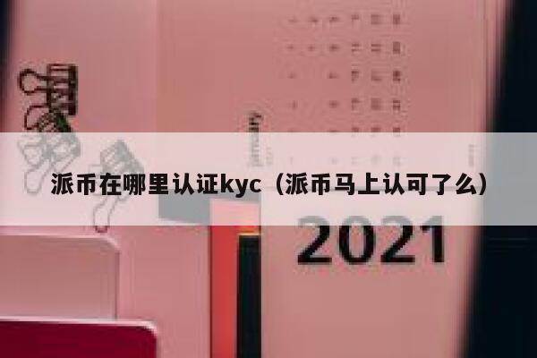 派币在哪里认证kyc（派币马上认可了么） 第1张