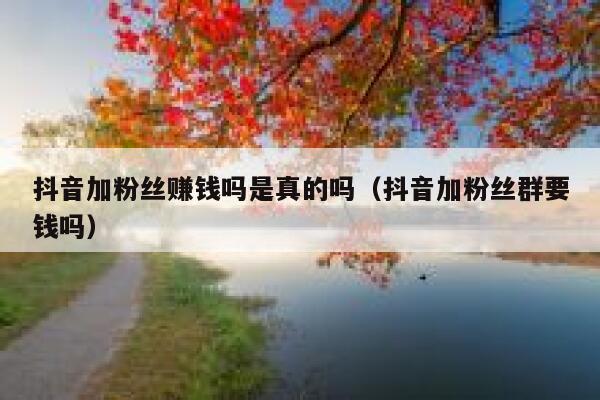 抖音加粉丝赚钱吗是真的吗（抖音加粉丝群要钱吗） 第1张