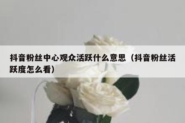 抖音粉丝中心观众活跃什么意思（抖音粉丝活跃度怎么看） 第1张