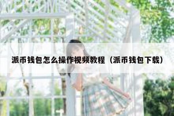 派币钱包怎么操作视频教程（派币钱包下载） 第1张