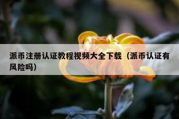 派币注册认证教程视频大全下载（派币认证有风险吗） 第1张