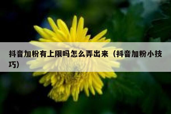 抖音加粉有上限吗怎么弄出来（抖音加粉小技巧） 第1张
