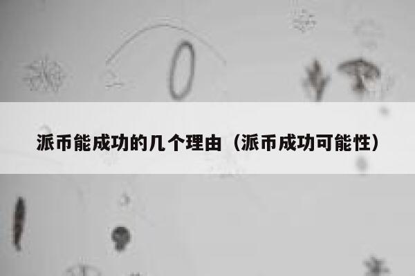 派币能成功的几个理由（派币成功可能性） 第1张