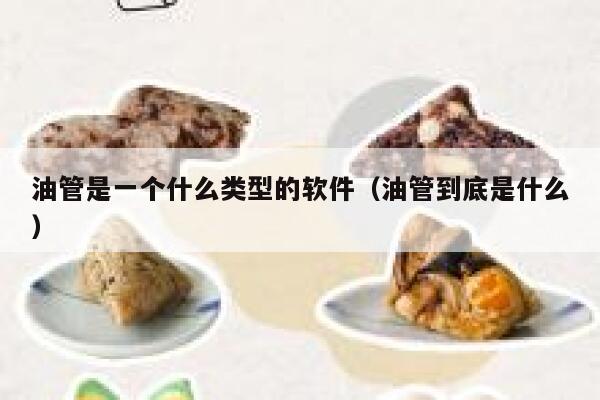 油管是一个什么类型的软件（油管到底是什么） 第1张