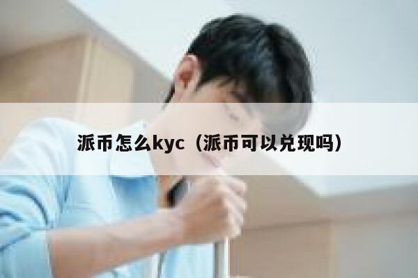 派币怎么kyc（派币可以兑现吗） 第1张