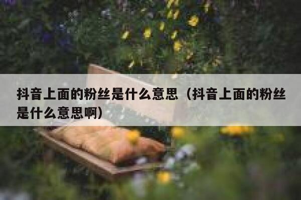抖音上面的粉丝是什么意思(抖音上面的粉丝是什么意思啊) 第1张 抖音上面的粉丝是什么意思(抖音上面的粉丝是什么意思啊) 第1张