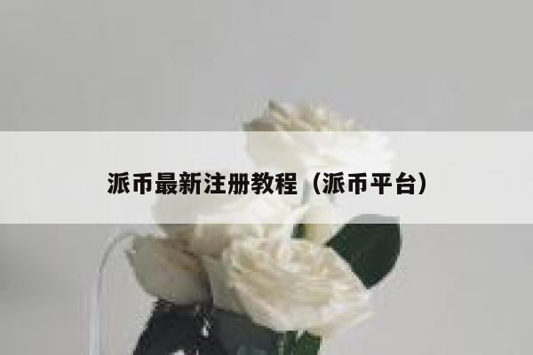 派币最新注册教程（派币平台） 第1张