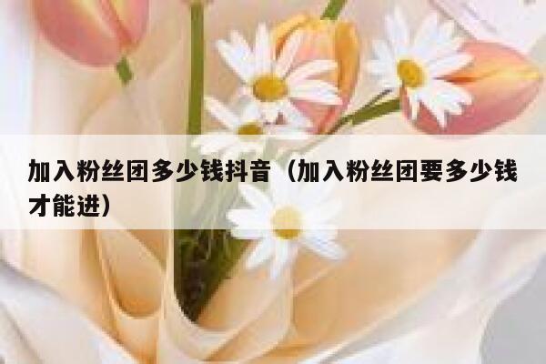 加入粉丝团多少钱抖音（加入粉丝团要多少钱才能进） 第1张