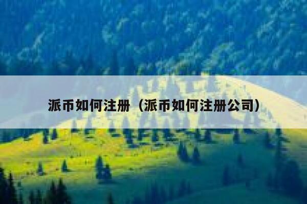 派币如何注册（派币如何注册公司） 第1张