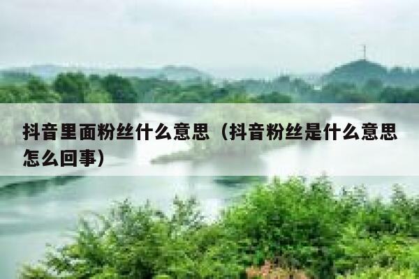 抖音里面粉丝什么意思（抖音粉丝是什么意思怎么回事） 第1张