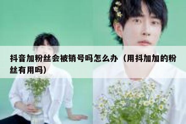 抖音加粉丝会被销号吗怎么办（用抖加加的粉丝有用吗） 第1张