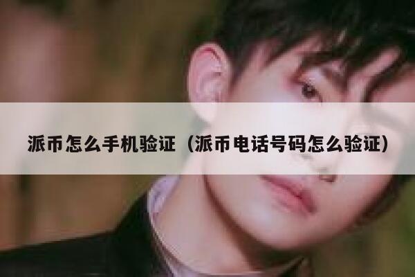 派币怎么手机验证（派币电话号码怎么验证） 第1张