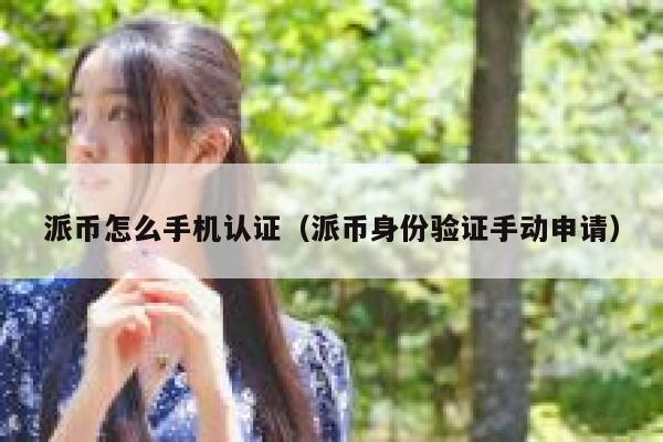 派币怎么手机认证（派币身份验证手动申请） 第1张