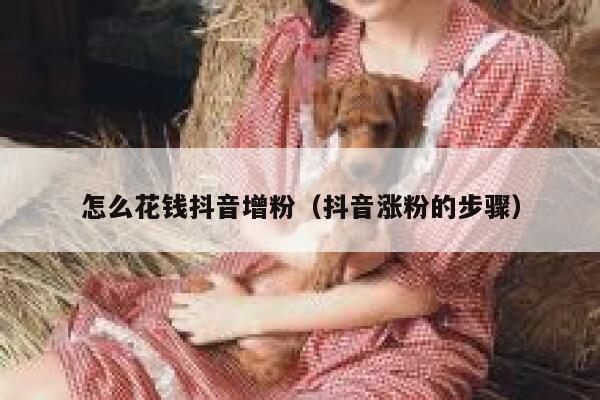 怎么花钱抖音增粉（抖音涨粉的步骤） 第1张