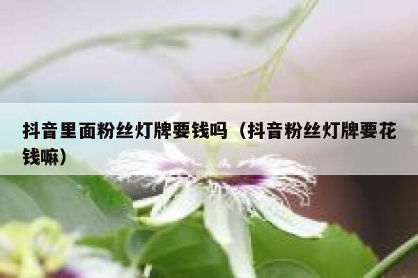 抖音里面粉丝灯牌要钱吗（抖音粉丝灯牌要花钱嘛） 第1张