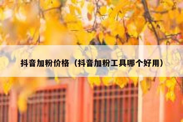 抖音加粉价格（抖音加粉工具哪个好用） 第1张