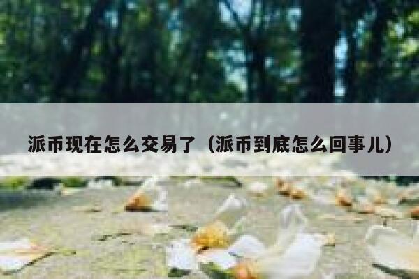 派币现在怎么交易了(派币到底怎么回事儿) 第1张 派币现在怎么交易了(派币到底怎么回事儿) 第1张