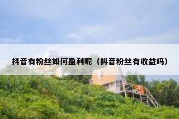 抖音有粉丝如何盈利呢（抖音粉丝有收益吗） 第1张