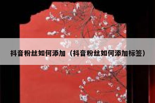 抖音粉丝如何添加（抖音粉丝如何添加标签） 第1张