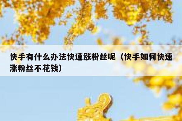 快手有什么办法快速涨粉丝呢（快手如何快速涨粉丝不花钱） 第1张