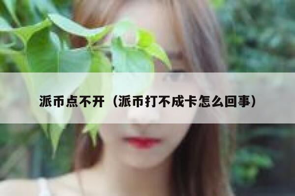 派币点不开（派币打不成卡怎么回事） 第1张