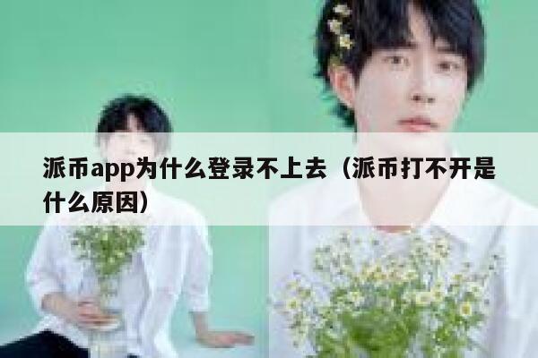 派币app为什么登录不上去（派币打不开是什么原因） 第1张