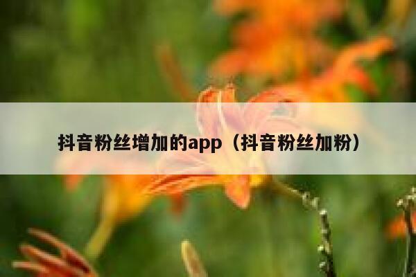 抖音粉丝增加的app(抖音粉丝加粉) 第1张 抖音粉丝增加的app(抖音粉丝加粉) 第1张