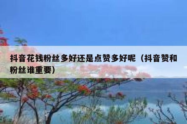抖音花钱粉丝多好还是点赞多好呢(抖音赞和粉丝谁重要) 第1张 抖音花钱粉丝多好还是点赞多好呢(抖音赞和粉丝谁重要) 第1张