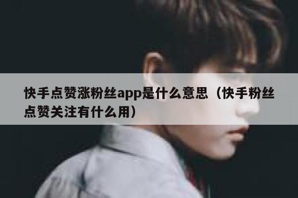 快手点赞涨粉丝app是什么意思(快手粉丝点赞关注有什么用) 第1张 快手点赞涨粉丝app是什么意思(快手粉丝点赞关注有什么用) 第1张