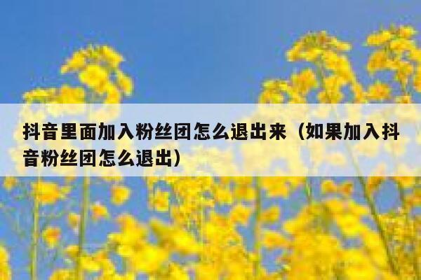 抖音里面加入粉丝团怎么退出来(如果加入抖音粉丝团怎么退出) 第1张 抖音里面加入粉丝团怎么退出来(如果加入抖音粉丝团怎么退出) 第1张