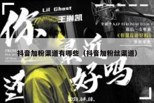 抖音加粉渠道有哪些（抖音加粉丝渠道） 第1张