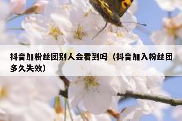 抖音加粉丝团别人会看到吗（抖音加入粉丝团多久失效） 第1张
